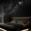 Star Projector Night Light 2-in-1 Light Starry Sky Ambient Lamp with Films Birthday Gift for Boys Girls USB Powered Dual-Mode Bedroom Sleep