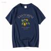 Santorini T Shirt Greek Island Greece Clothes Soft and Comfortable long or short sleeves vintage Washed Stretched