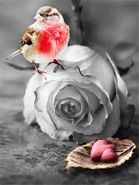 5D Diamond Painting Full of Diamonds DIY Art Home Decoration Pendant Romantic Rose