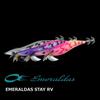 Daiwa Egi Emeraldas Stay RV Luminous Gurukunnight Lure 3.0 -