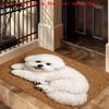 1Pcs Anti Fatigue Door Rugs, Bichon Frise Print Waterproof Non-Slip Thick Cushioned Door Mat Heavy Duty Comfort Standing Mat for Door