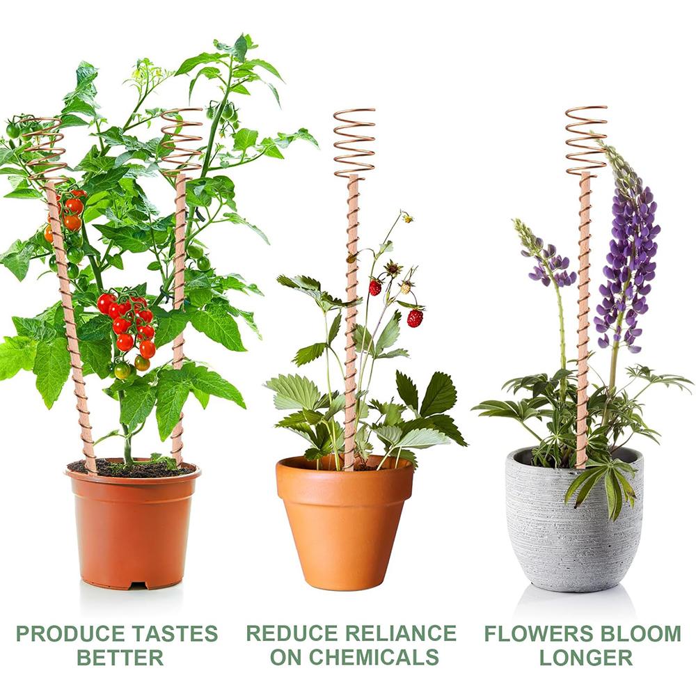 6pcs 11.8in Electroculture Plant Stakes for Growing Garden Plants and Vegetables