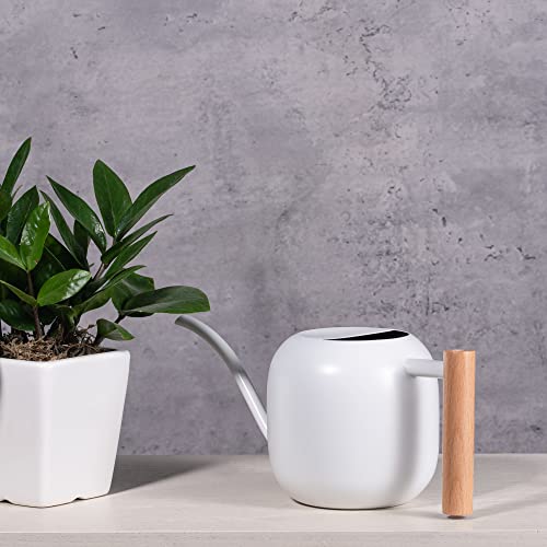 IMEEA Watering Can, 1200ml, Stainless Steel with Wooden Handle, Stylish, White, Round, Gardening Supplies