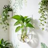 Decorative Wall Planter Hanging Glass Clear Flower Vase for Hydroponics Plants Greenery Home Decor Mount Terrarium Propagation Station Bathroom Office