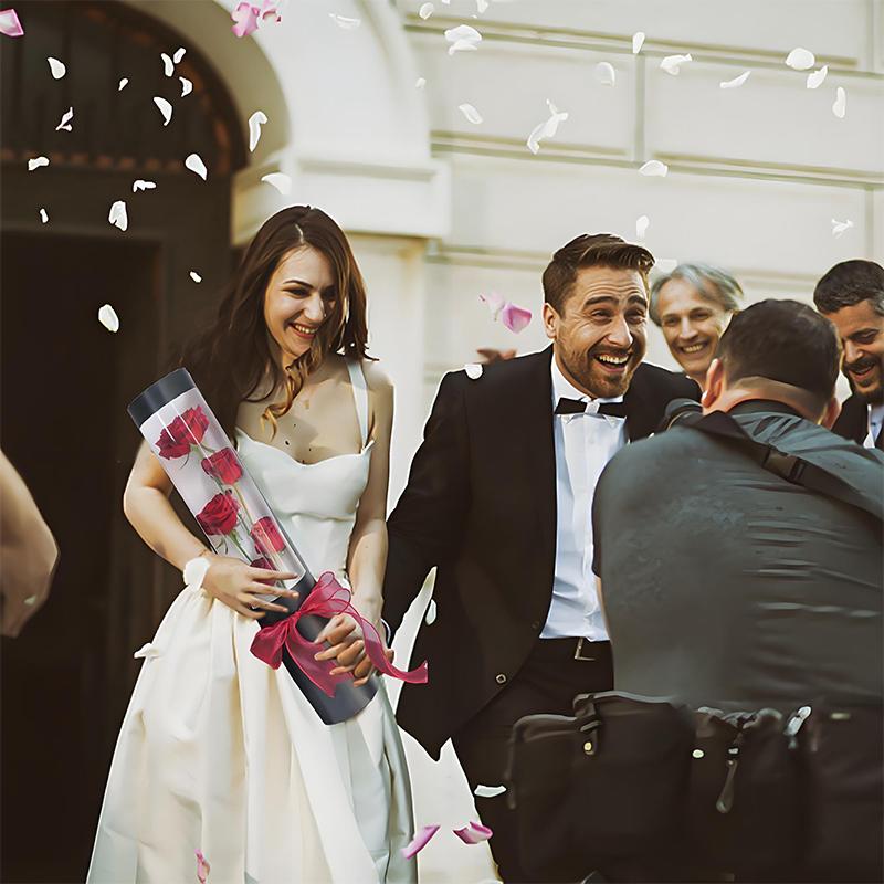 5 Stück/Packung Verpackungsbox Hochzeiten Transparente Hüllen Weihnachtsgeschenke Zeremoniell DIY Dekoration Anlass 43x8CM