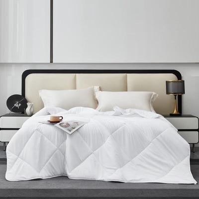 Mengjie Washed Brushed Super Soft All-Season Quilt