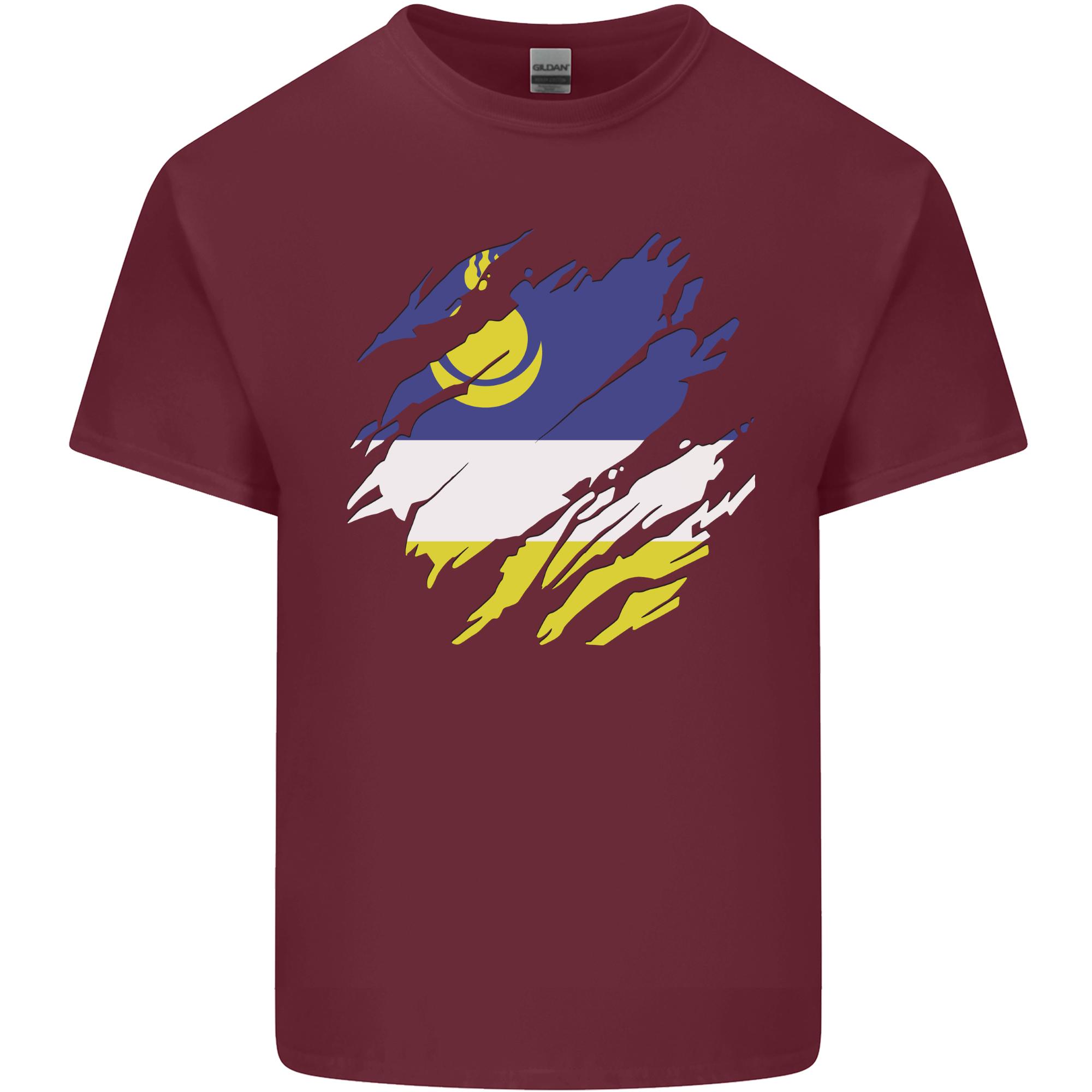 Torn Flag Buryatia Unisexs Light Cotton TShirt S