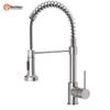 LINGJULI Stainless Steel Pull-Out Kitchen Faucet with Filter Function