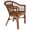 Day and Night - Day and Night Brown Natural Rattan Garden Chair