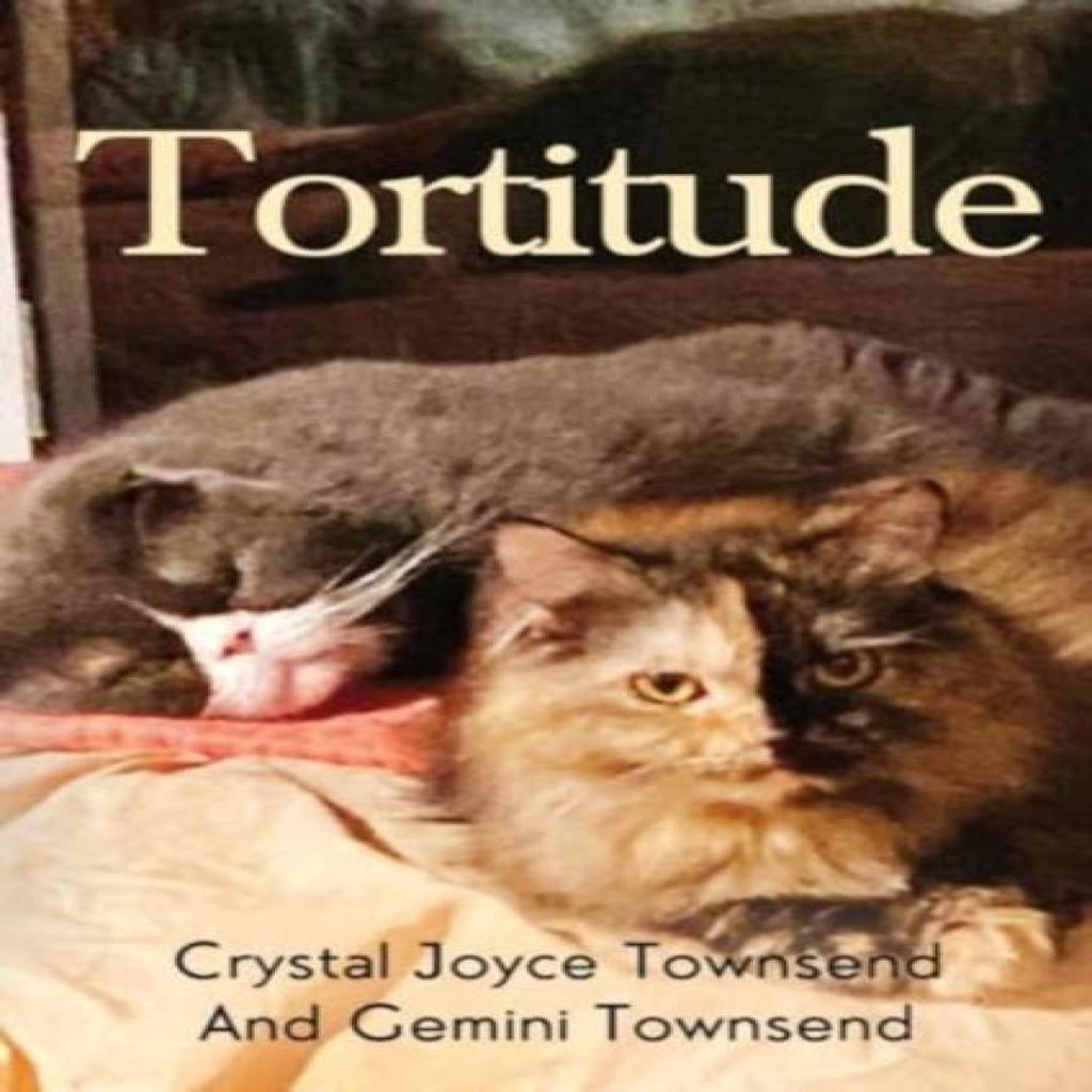Tortitude by Crystal Joyce Townsend Paperback Book 9781800168688