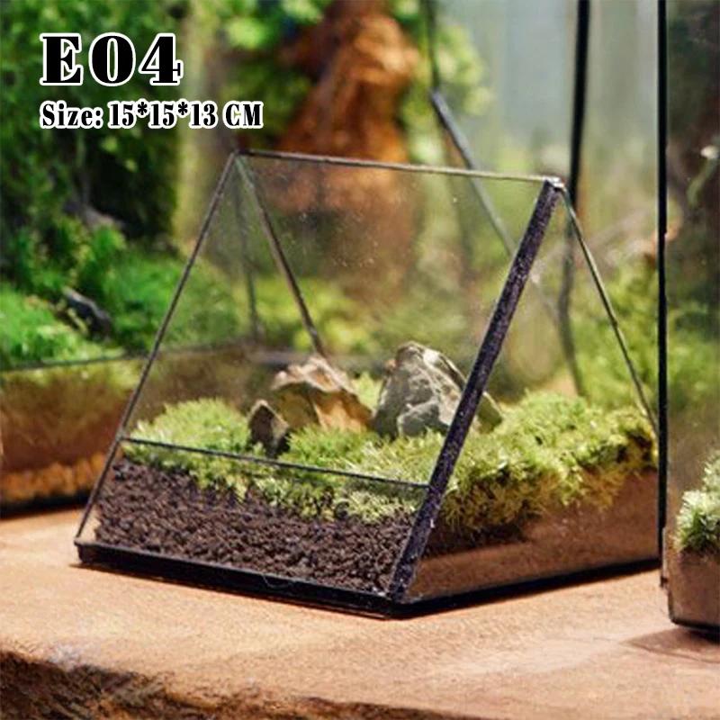 Geometric Glass Terrarium Vase, Rectangular Planter