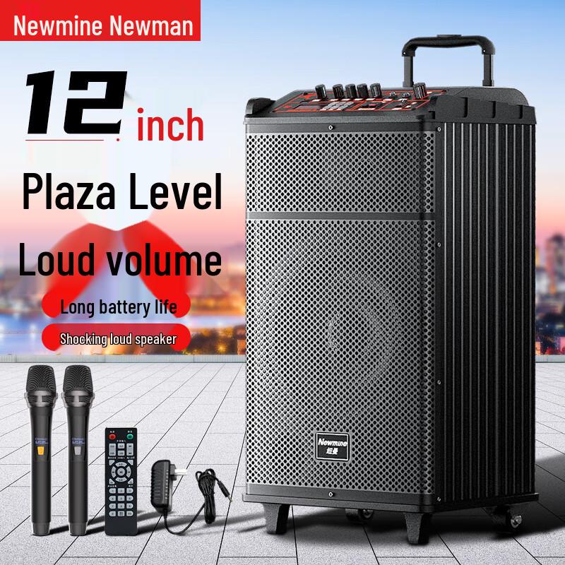Newmine Portable Outdoor KTV Bluetooth Speaker