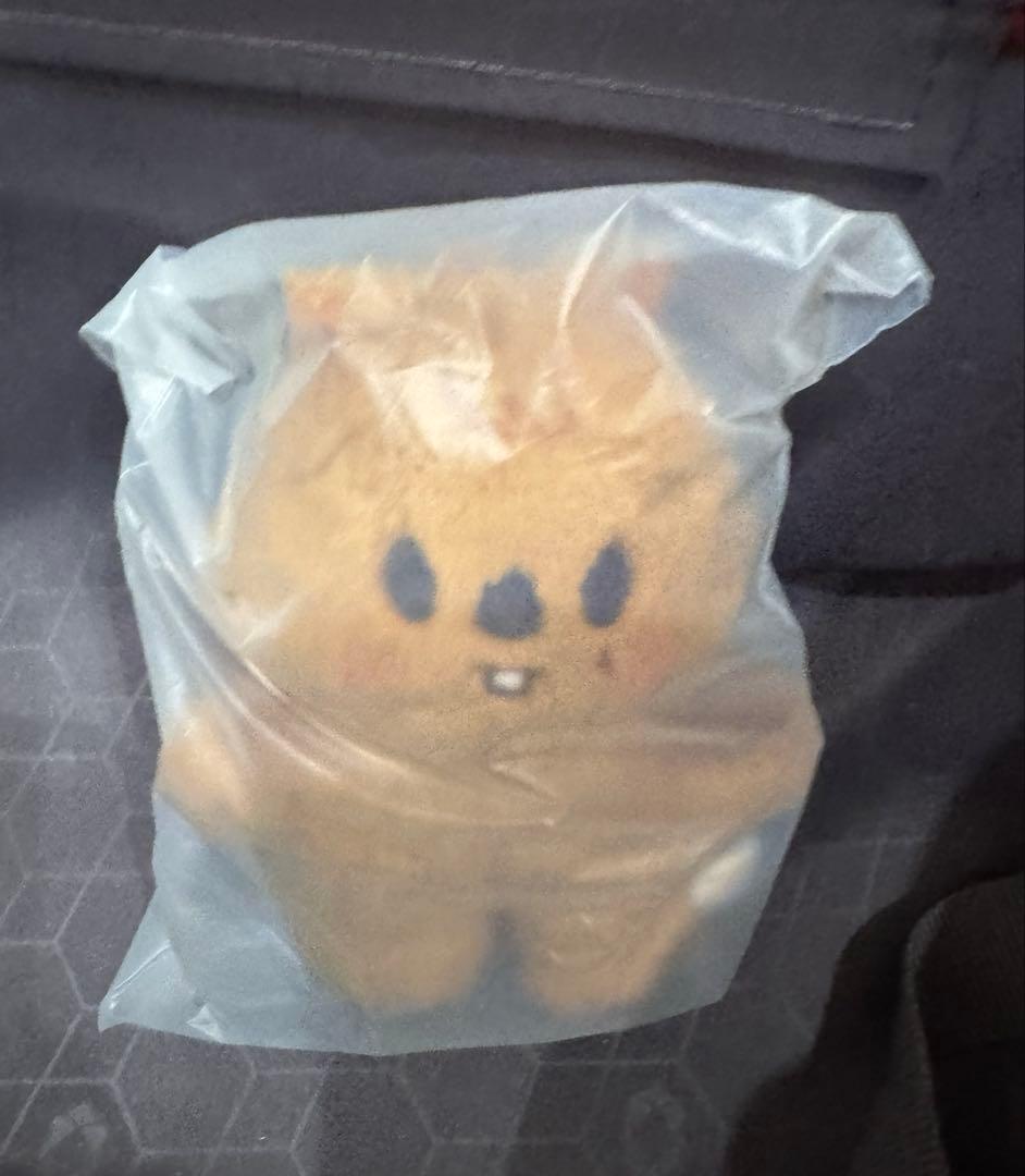 

[Б/У] SKZOO ПЛЮШЕВАЯ СТОЯЧАЯ ВЕРСИЯ. Хан Квокка