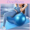 Palla Yoga in PVC Ricaricabile Palla Fitness per Recupero Post-Partum e Tonificazione Corporea