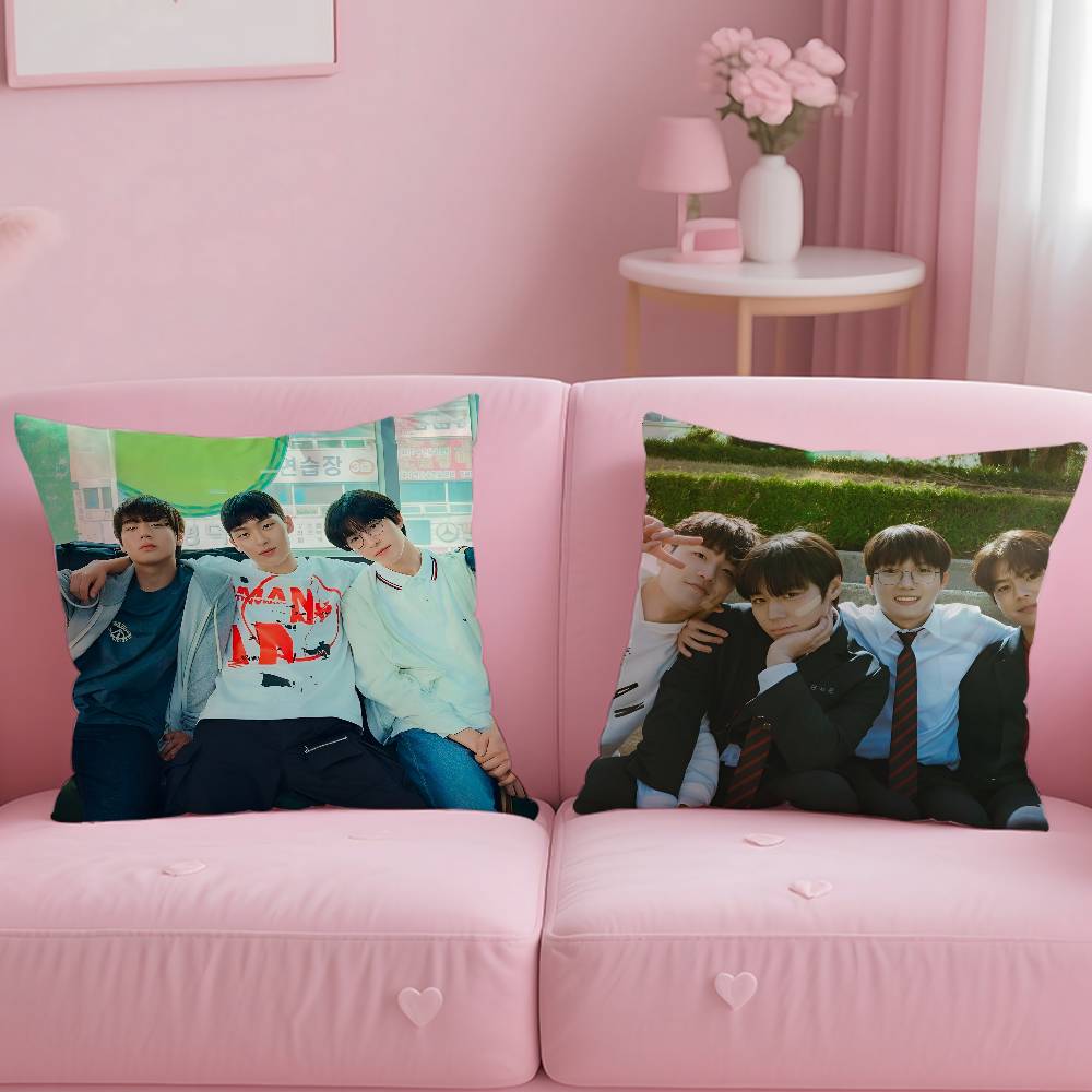 Hot Movie W-Weak Hero Class 1 Pillow Case Anti-Dustmite Pillowcase Invisible Zipper Silky Short Plush Sofa Cushion Cover