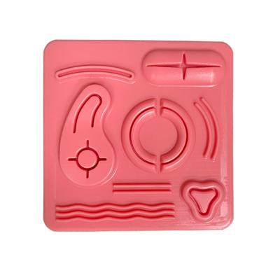 Silicone Laparoscopy Simulation Model Laparoscopic Surgeries Simulation Suture Trainer for Medicals Students