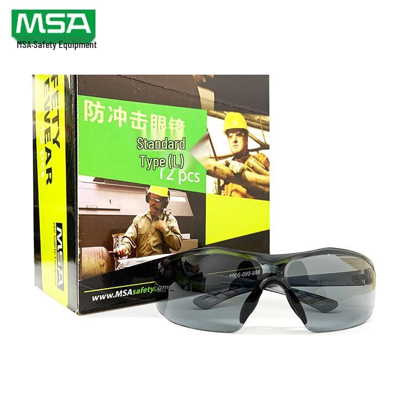 MSA 1904-G Safety Goggles One Size