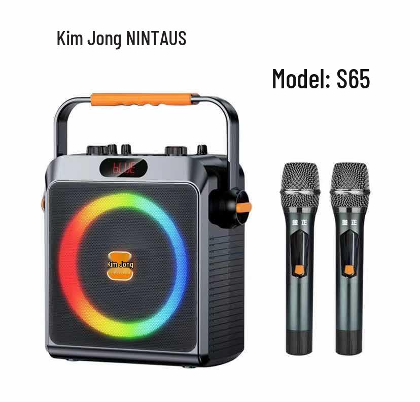 

Портативная Bluetooth-колонка Jinzheng с USB и двумя микрофонами для пения, танцев и прямых трансляций на открытом воздухе Dual Microphone