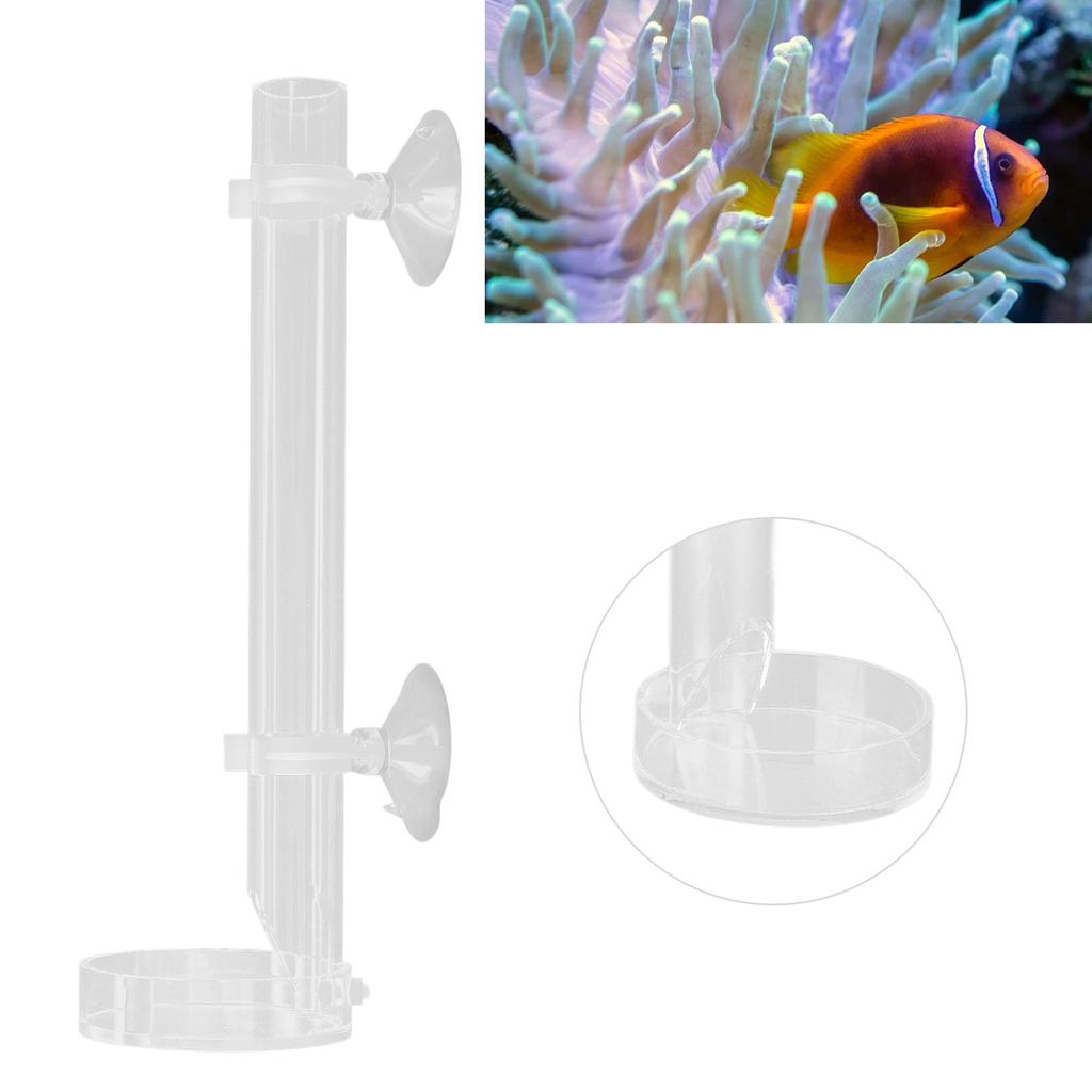 Shrimp Feeding Tube Acrylic Transparent Shrimp Feeder for Fish Aquarium