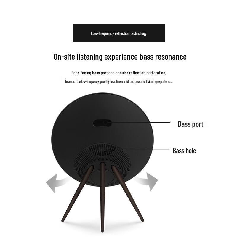 B&O Beosound A9 5th Gen Wireless Speaker