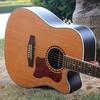 Akustická kytara Hummingbird Celuloid Pickguard Chrániče proti poškrábání desky