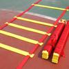 JingNong Agility Ladder