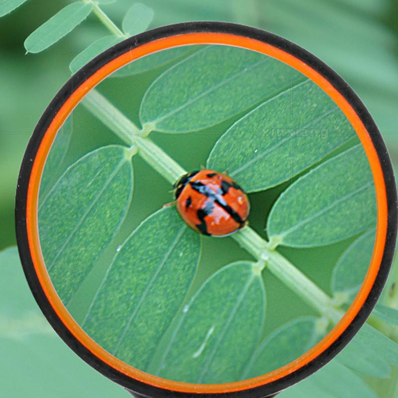 75Mm Handheld Magnifying Glass 10X For Kids Seniors Non-Slip Reading Magnifier Lens For Classroom Science Nature Exploration