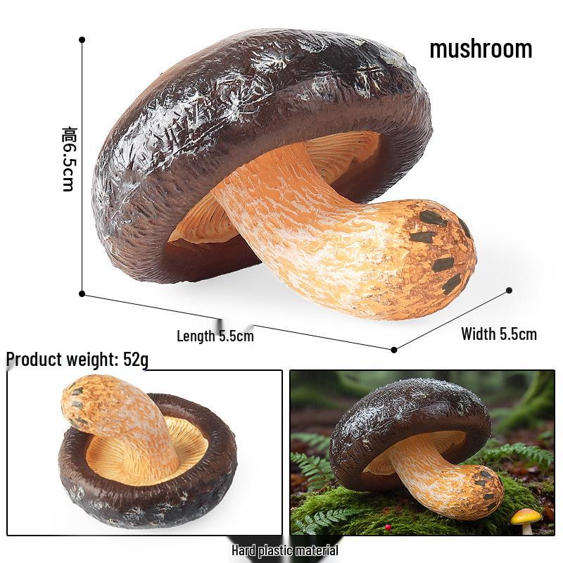 Simulated Vegetables & Mushrooms: Educational Props & Decorative Toys for Kindergarten