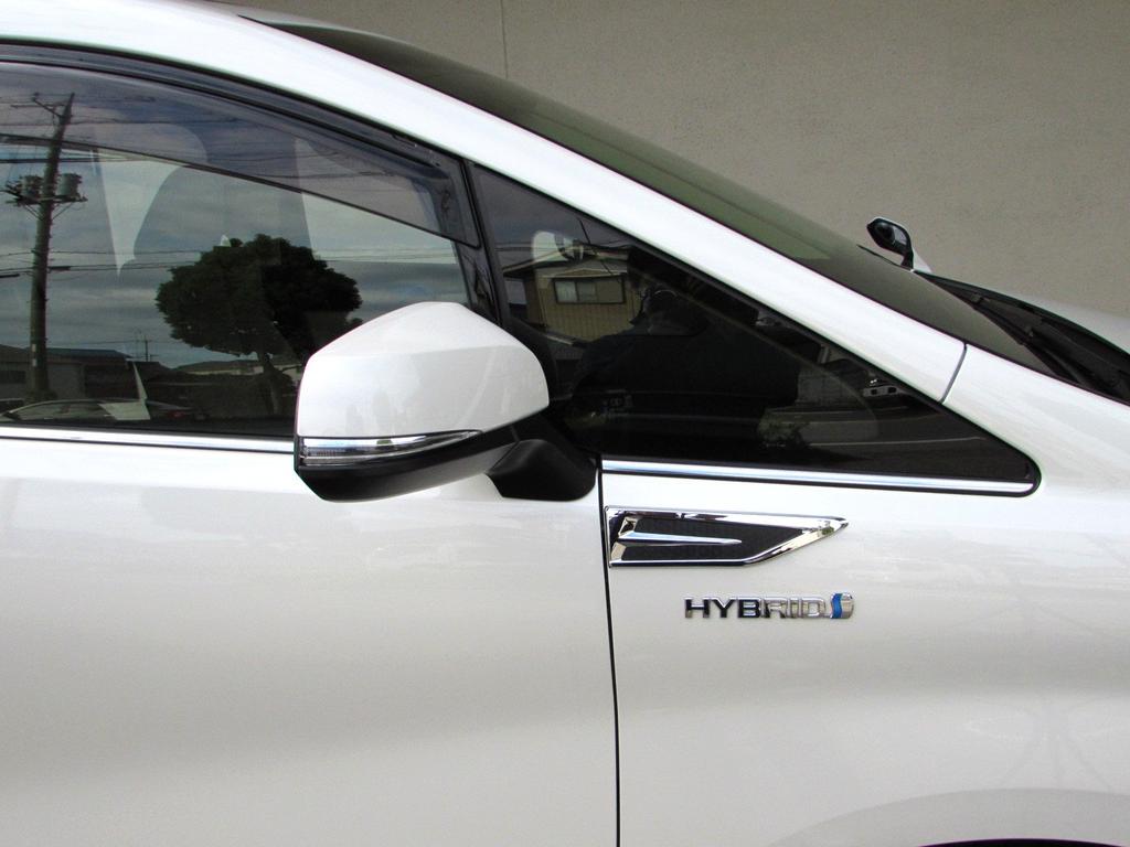 BRIGHTZ Vellfire 30 35 Chrome Fender Garnish Carbon Style AGH30W AGH30W GGH30W GGH35W AGH GGH AGH30 GGH30 GGH35 H30 H35 Vellfire Vellfire Vellfire