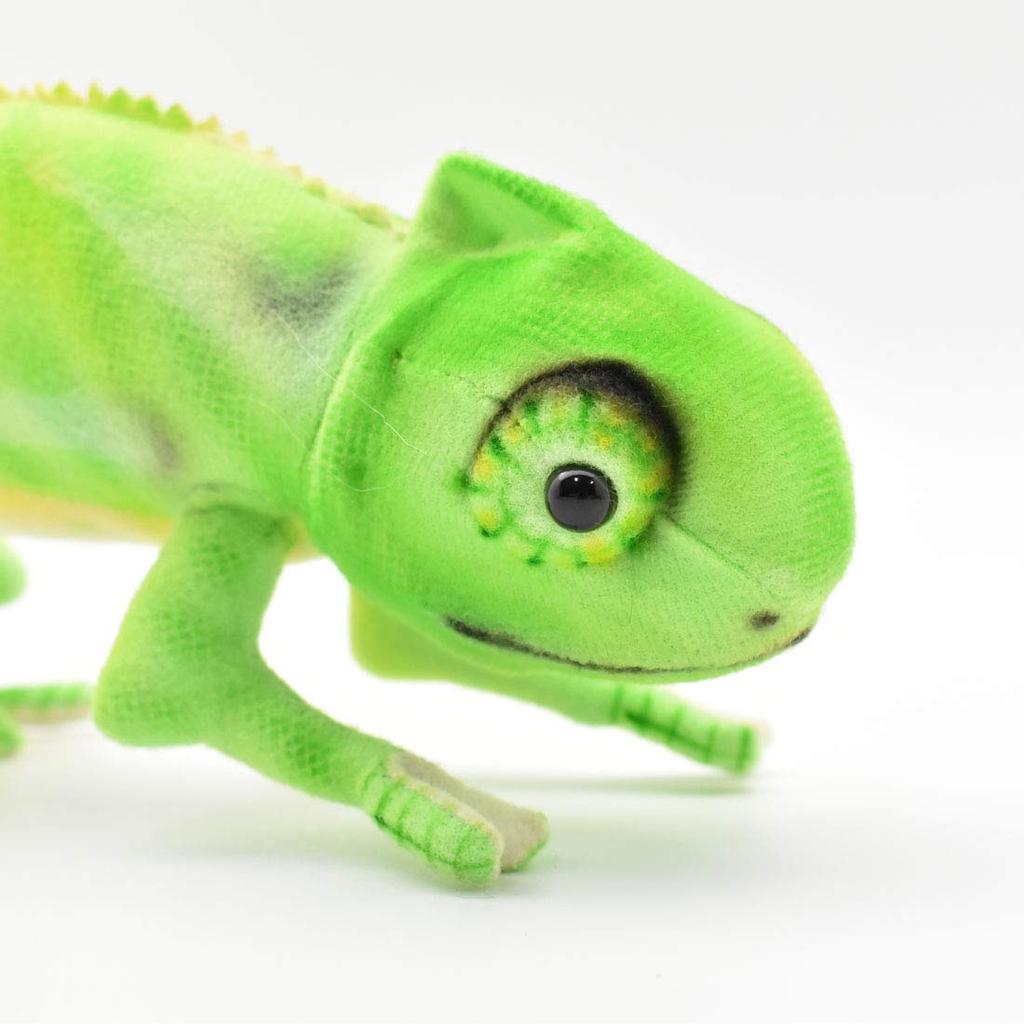 BH6937 HANSA Chameleon 42