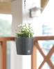 RATO DRTW260 Hanging Flowerpot | Umbra
