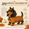 Autumn Harvest Home Decor Fall Dachshund Figurine, Halloween Statue with Pumpkin Headband Polka Indoor Festive Accents Dot Outfit, Ornament for Mantel