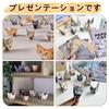 [AiYa] Kot z papieru DIY, Uroczy zestaw do origami z kotem, Zrób własnego kota z origami, Zabawne wydarzenie DIY dla dorosłych i nastolatków, Dekoracja stołu, Prezent dla miłośników kotów (50