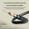 GYTZA53 Outdoor 6-Core Single-Mode Armored LSZH Fiber Optic Cable - 10m