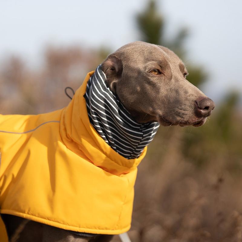 Outdoor Dog Jacket Windproof Waterproof Large Breeds Reflective Adjustable Coat Weimaraner Retriever Winter Warm Pet Clothes