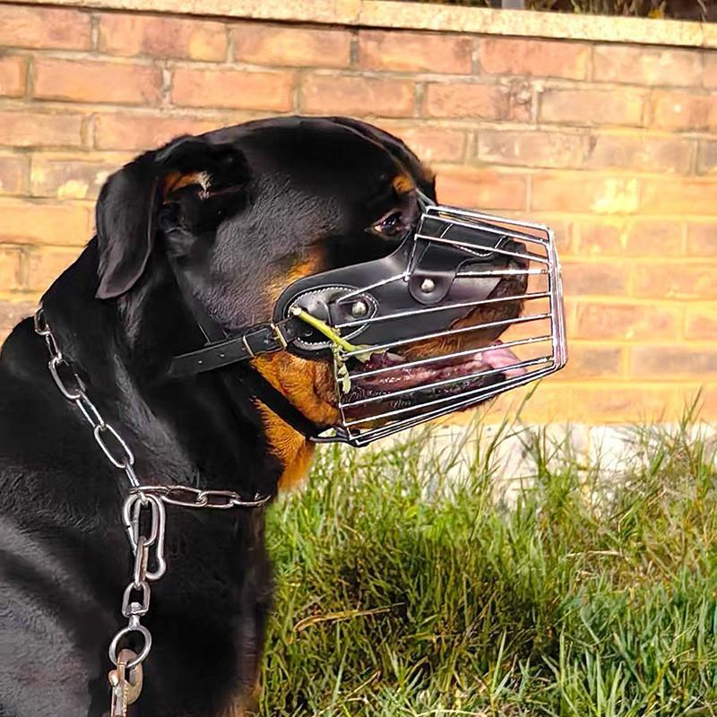 Adjustable Metal Muzzle Large Dogs Golden Retriever German Shepherd Dogo Bite Prevention Chew Stopper