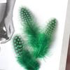 Guinea Fowl Feather Polka Dot Feather Cat Teasing Stick Accessories Colorful Polka Dot Pheasant Feather Handmade Decorative Materials