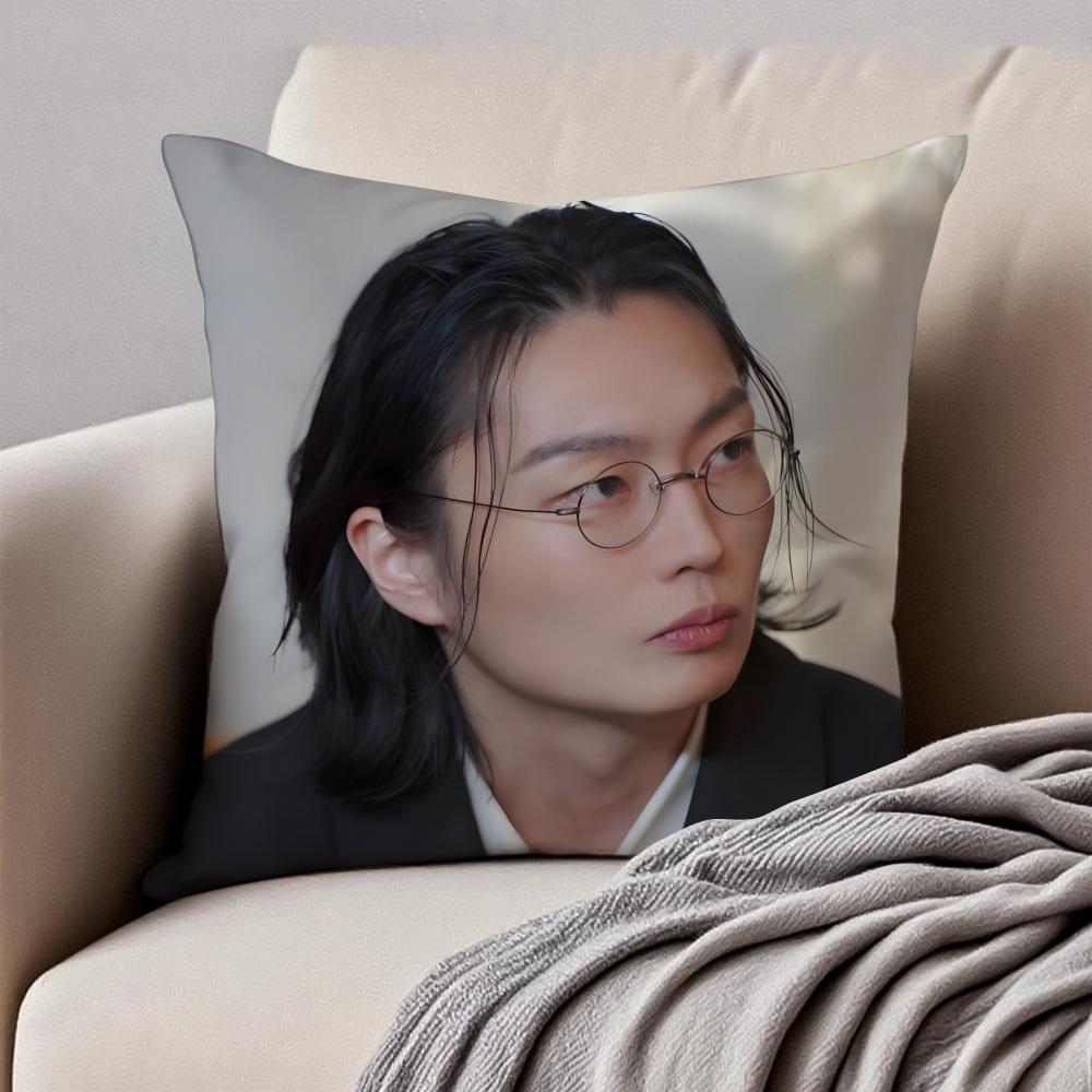 RRoh JJae Won Cushion Cover Pillowcase Antidustmite Invisible Zipper Short Plush Sofa Cushion