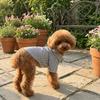 Mit Fliege Hunde-Schlafanzug Dünner Stoff Haustier-T-Shirt Lässige Gestreifte Hundehemden Partys