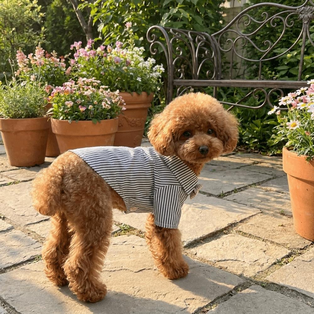 Mit Fliege Hunde-Schlafanzug Dünner Stoff Haustier-T-Shirt Lässige Gestreifte Hundehemden Partys