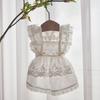 Soft Pet Summer Clothes Lace Cat Flying Sleeve Skirt Pet Supplies Pet Princess Dress  Summer