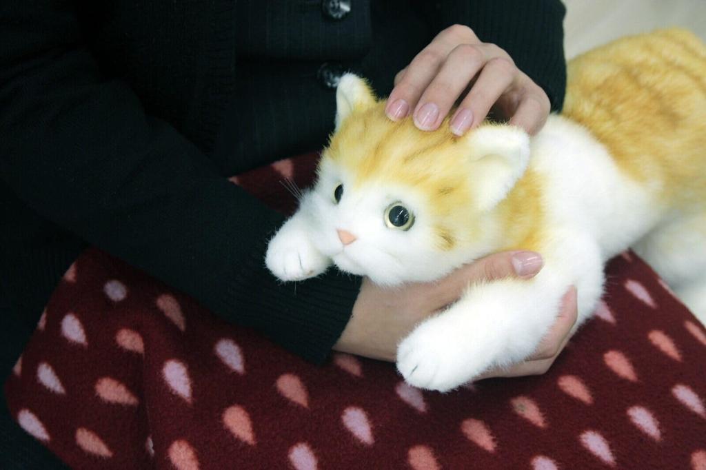 Doshin Real Series, Made In Japan, Realistic Cat Plush Toy, 58cm (Black Cat L, Sleeping) (2503)