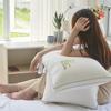 Dupont Two-way Antibacterial Pillow Core Cervical Vertebra Pillow To Aid Sleep Super Soft Pillow Core Home Pair
