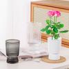 Hydroponic Flower Vase Transparent Vertical Grained Glass Design Vase Reusable PET Modern Nordic Style Vase for Flowers Pothos