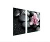 GLAS-KOCHFELD-SCHUTZPLATTE 90x52 ORCHIDEE