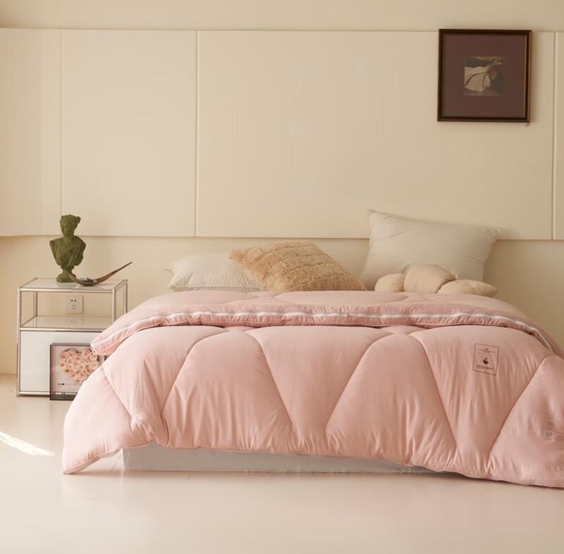 

Southern Life Warm German Velvet Down-like Quilt