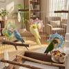Spinning Puzzle Parrot Mirror Toy Wear-Resisting Parrot Spinning Wheels  Small Parrot