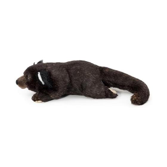 [COLORATA] Colorata Binturong Plush Toy (Nesoberi Series/Gentle Touch) Realistic Animal Toy Doll Gift Present Birthday (Meter Read 2 Times) /