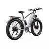 DUOTTS Elektrické kolo F26: Motor 750 W, dojezd 120 km, 26" tlusté pneumatiky, vodotěsnost IPX5, stoupavost 55° (Shimano 7-Speed)