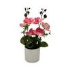 Multicolor Moth Orchid Artificial Flower Accessories Plastic Simulation Bonsai Green Leaves White Flowerpot